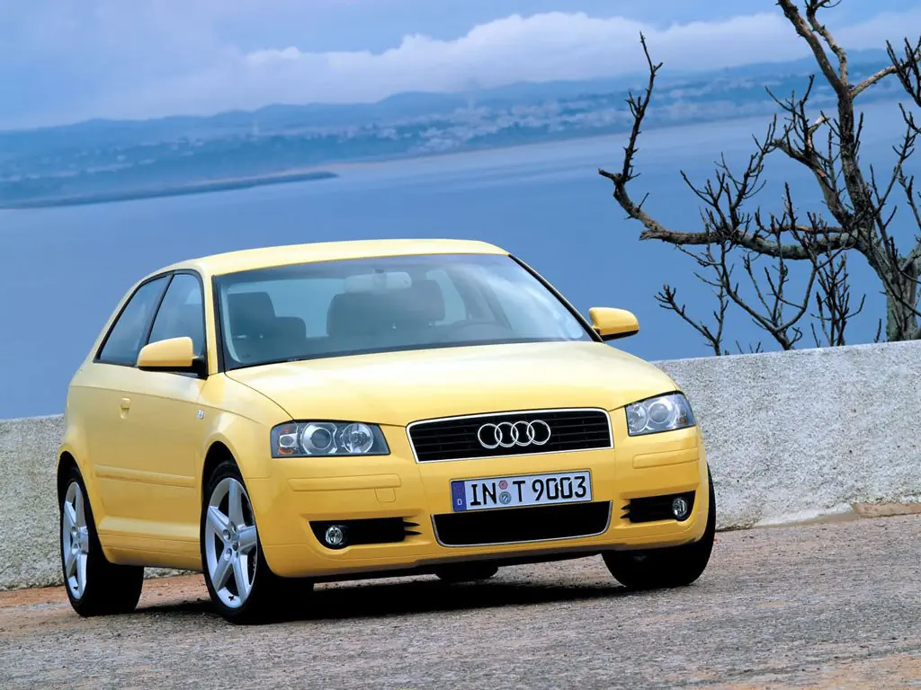 Audi A3 (8P1) 2 поколение, хэтчбек 3 дв. (03.2003 - 05.2005)